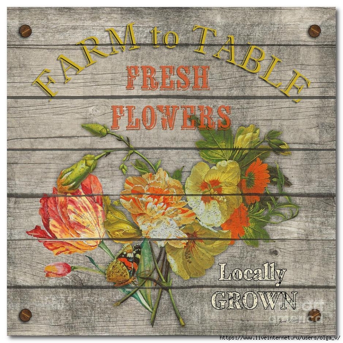 farm-to-table-flowers-jp2633-jean-plout (700x700, 496Kb)