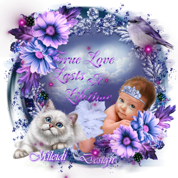 6394601_vosBW0P1Dosl (700x700, 830Kb)