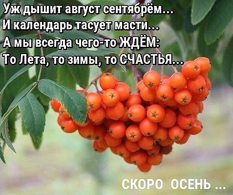 image-6 (477x400, 69Kb)