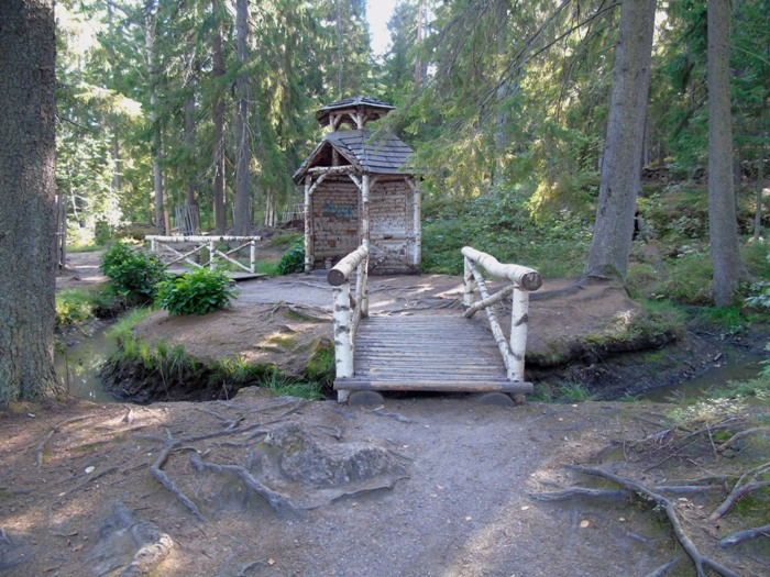 DSC03312 (700x525, 436Kb)