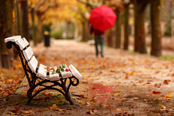 adios-goodbye-park-skamyaосень45213 (700x466, 333Kb)
