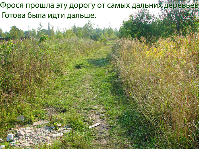 1 месяц 28 дней (14) (700x525, 664Kb)