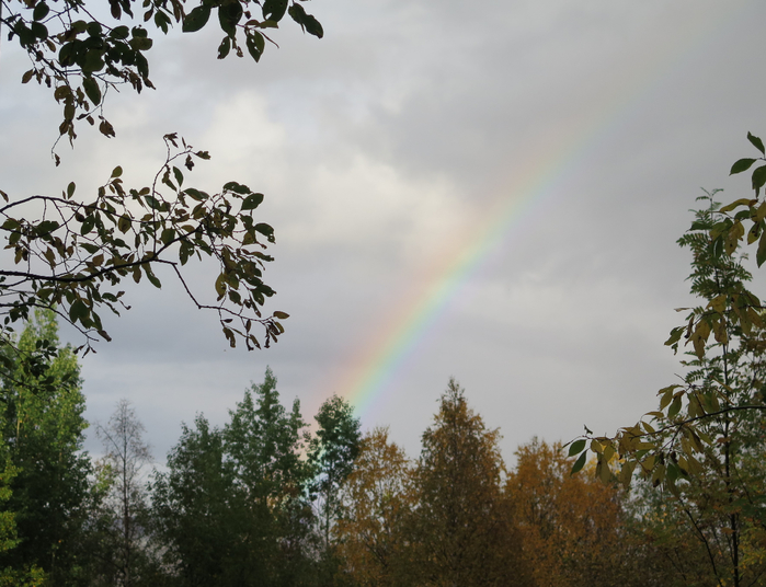 IMG_5844 (700x536, 367Kb)