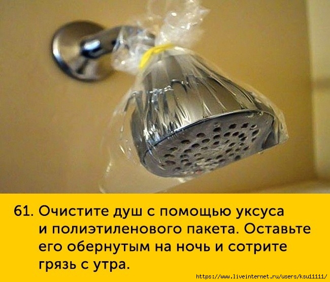 fullsize(60) (650x555, 205Kb)