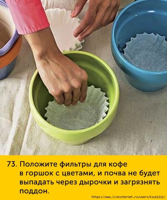 fullsize(72) (584x700, 267Kb)