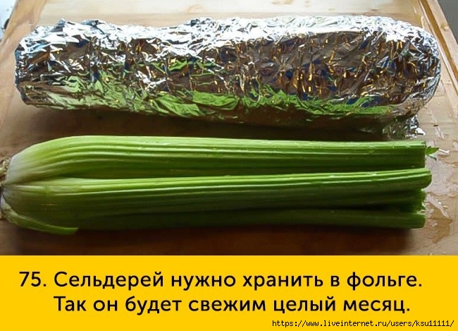 fullsize(74) (650x469, 224Kb)