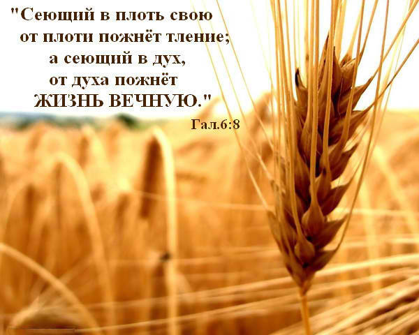  (3) (600x480, 66Kb)