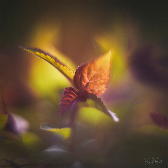 1103743 (700x700, 297Kb)