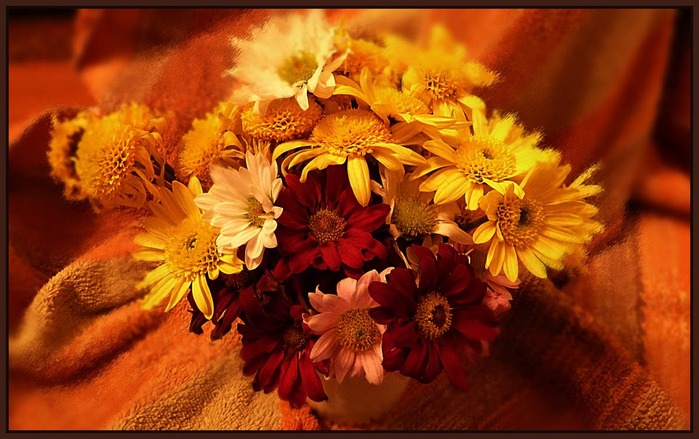 5152557_uu1c59_orig (700x439, 103Kb)