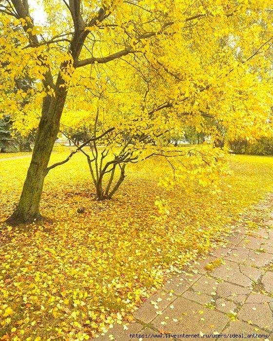 0102121425, (560x700, 436Kb)
