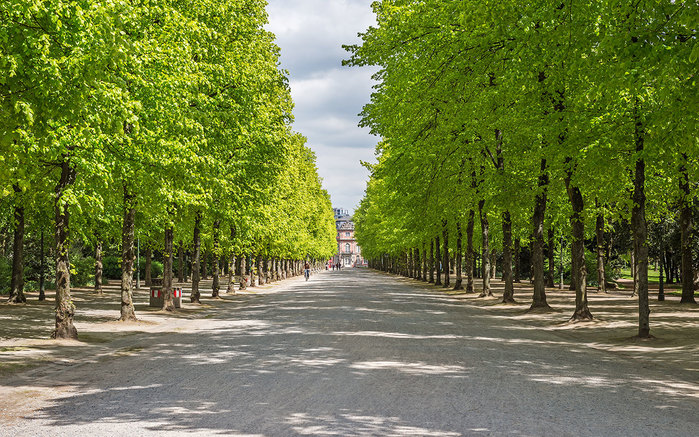 Hofgarten (1000x737, 174Kb)