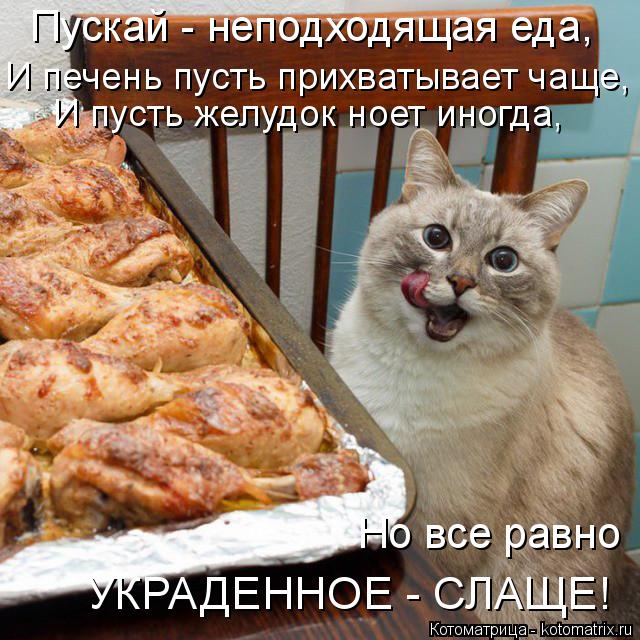 Котоматрица - 4 - Страница 8 150280734_2714816_6