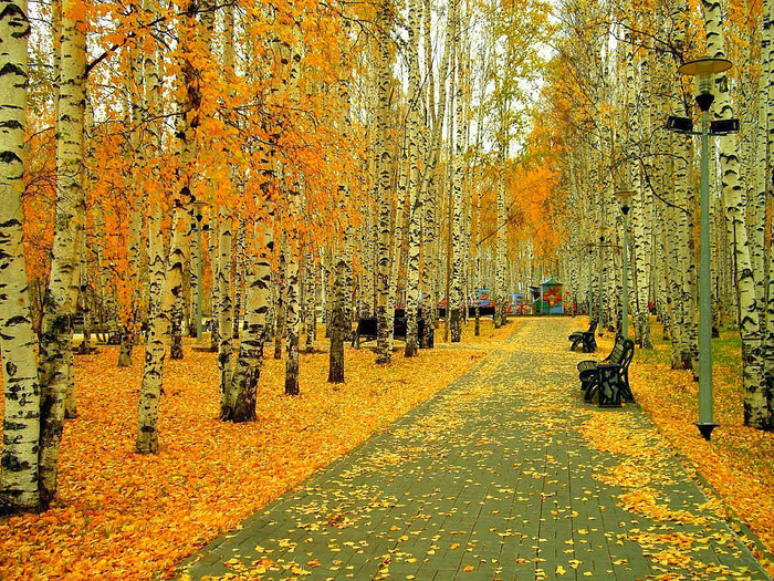 4845262_h29765 (700x525, 320Kb)