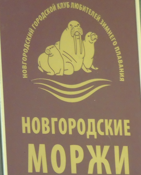 DSC03513 (567x700, 309Kb)