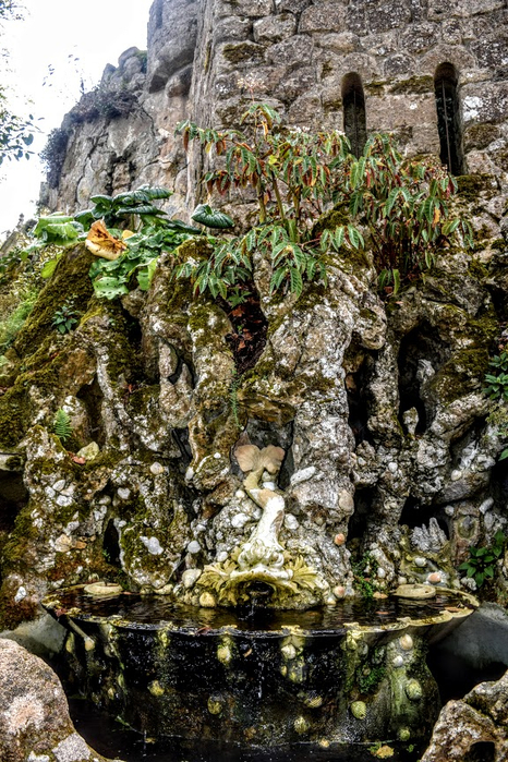 n18 (466x700, 514Kb)