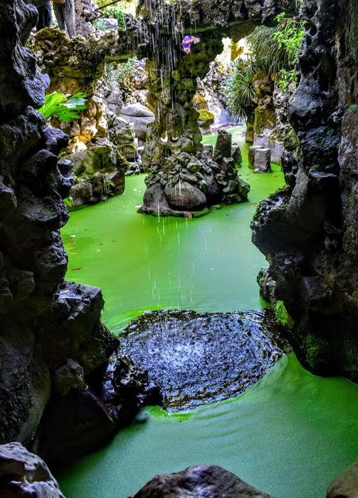 n8b (503x700, 459Kb)