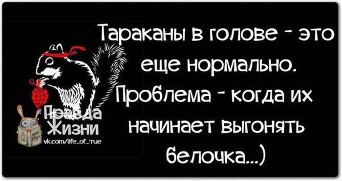 Отсутствие тараканов в голове 11 букв