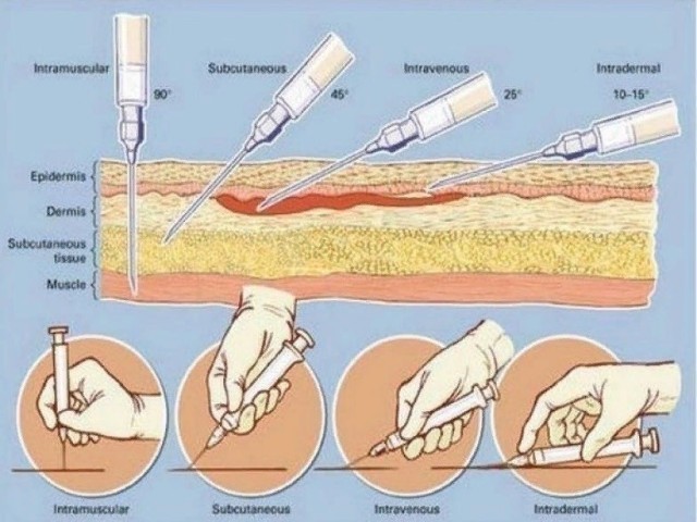 5944923_c0bb7feb (640x480, 74Kb)
