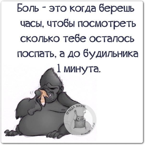 Юмор и приколы в картинках со словами