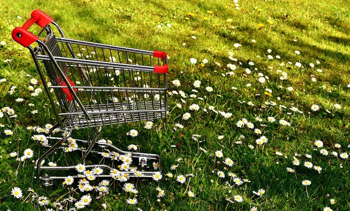 shopping-2291966_960_720 (700x421, 195Kb)