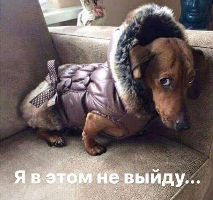  (700x659, 68Kb)