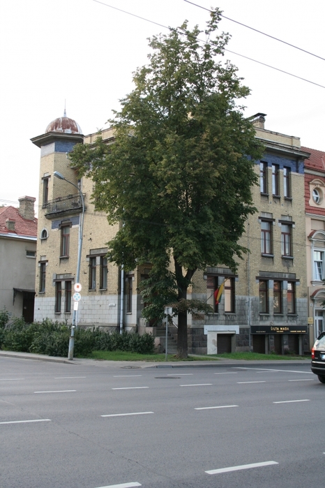 2384045_IMG_7439_1_ (466x700, 242Kb)
