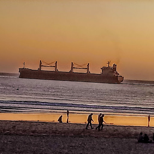 DSC_1748 (512x512, 144Kb)