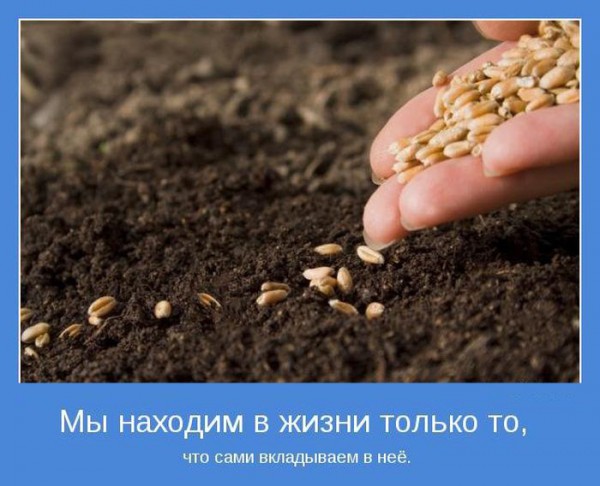 1336287179_1336176777_motivauj (600x486, 66Kb)