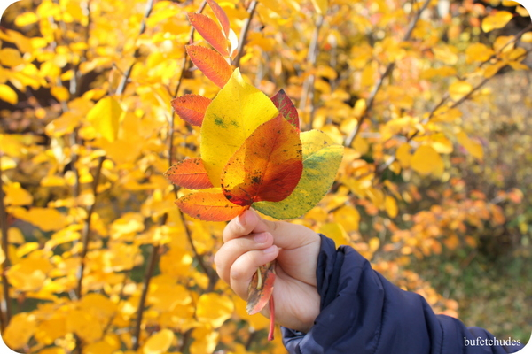 34-IMG_3984 (600x400, 303Kb)