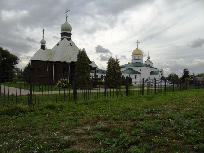 DSC03889 (700x525, 364Kb)