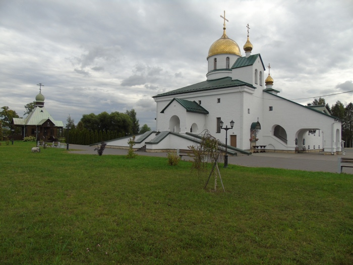 DSC03901 (700x525, 308Kb)