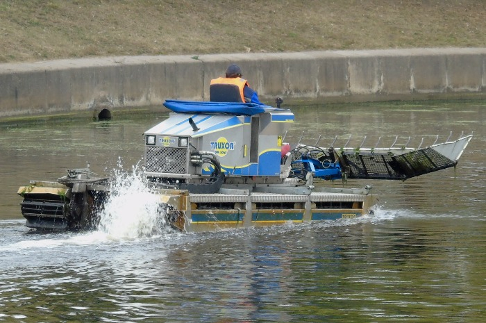 DSC03966 (700x465, 342Kb)