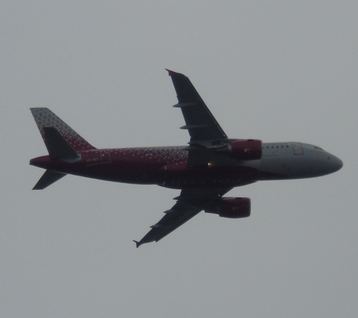 DSC04043 (700x621, 236Kb)