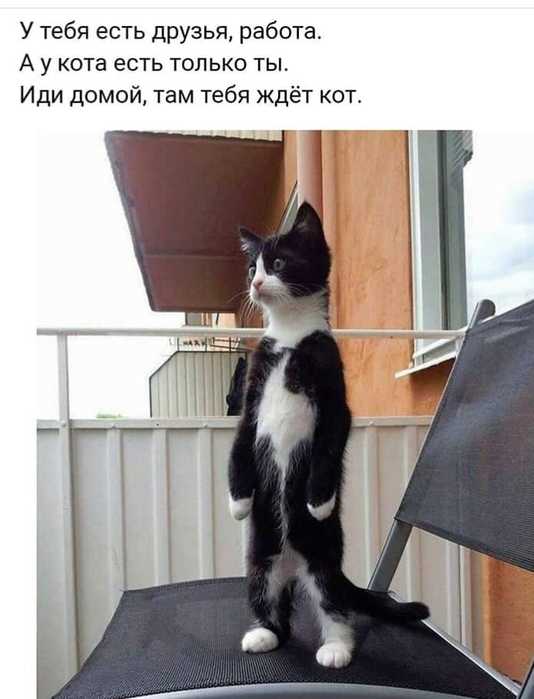  (534x700, 30Kb)