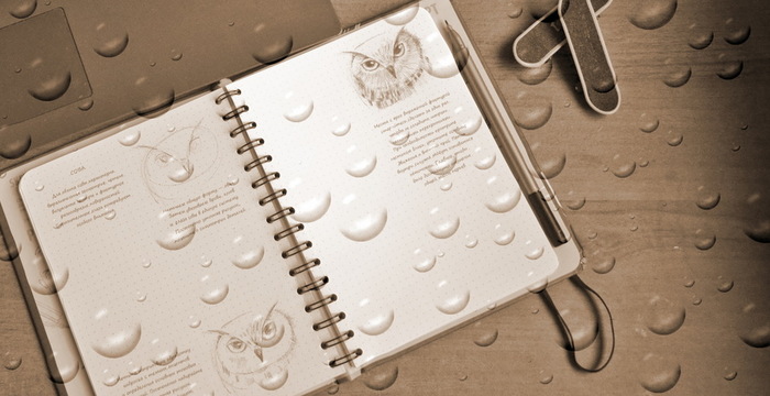1334582 (700x360, 82Kb)
