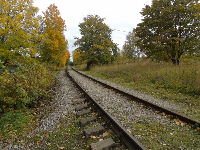 DSC00303 (700x525, 448Kb)