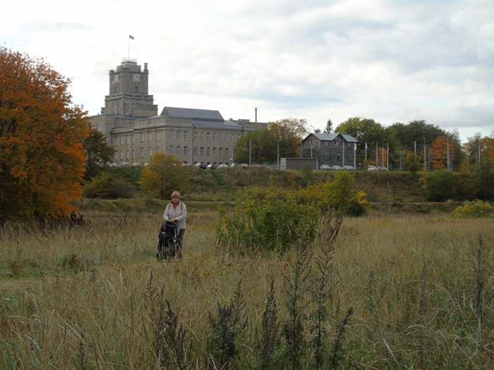 DSC00344 (700x525, 360Kb)