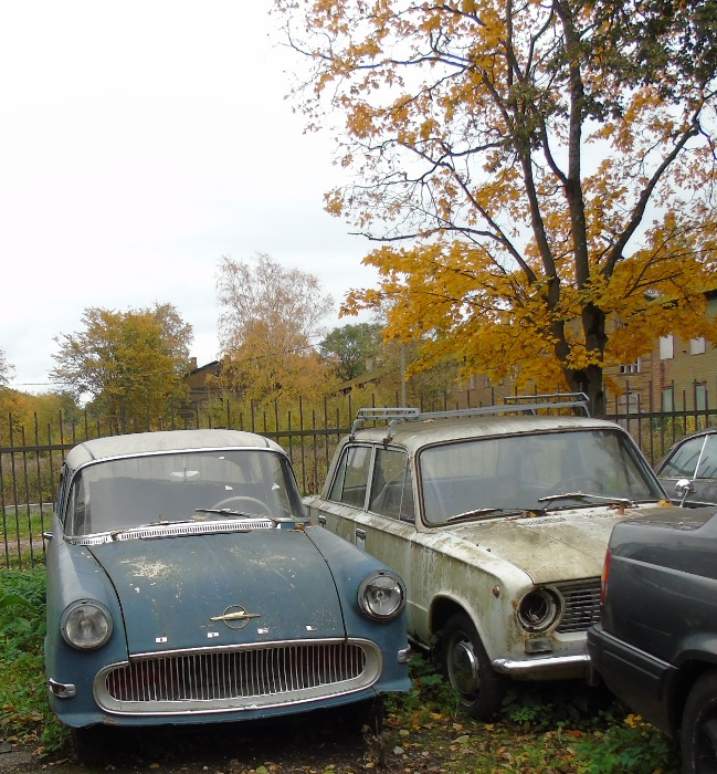 DSC00410 (649x700, 537Kb)