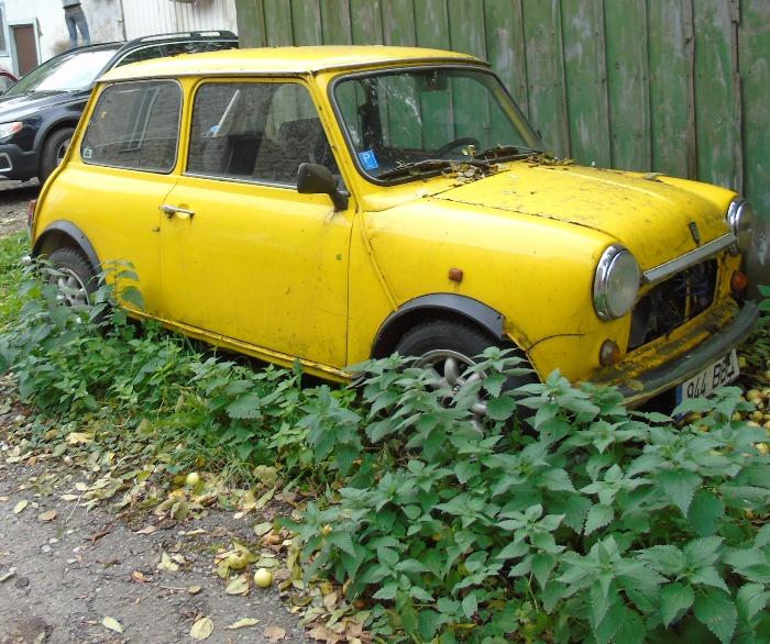 DSC00428 (700x586, 523Kb)