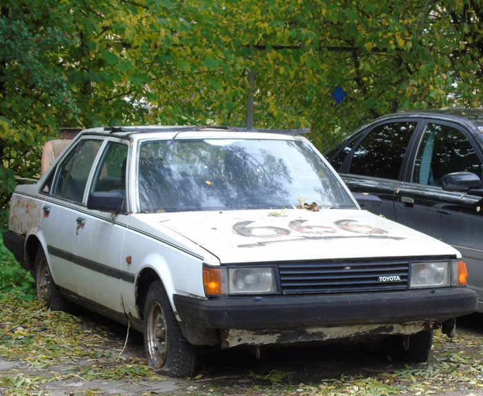 DSC00430 (700x574, 505Kb)