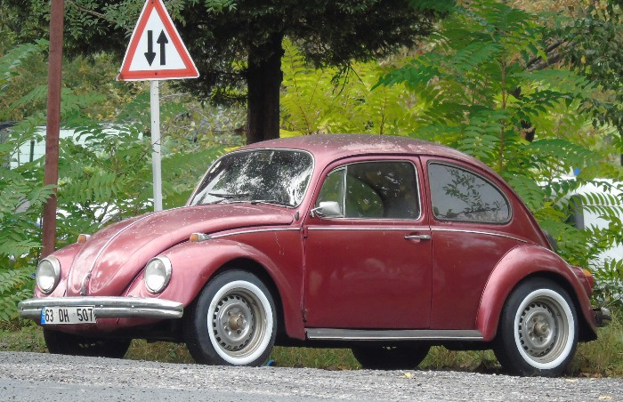 DSC01186 (700x452, 410Kb)