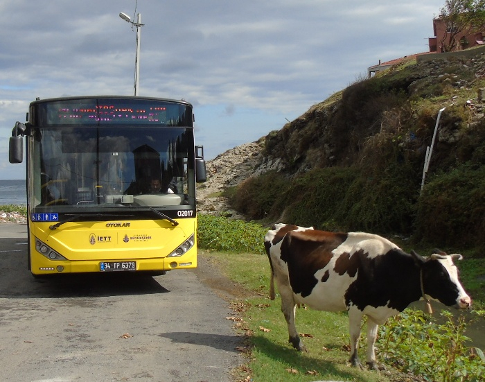 DSC01211 (700x551, 388Kb)