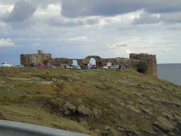 DSC01236 (700x525, 318Kb)