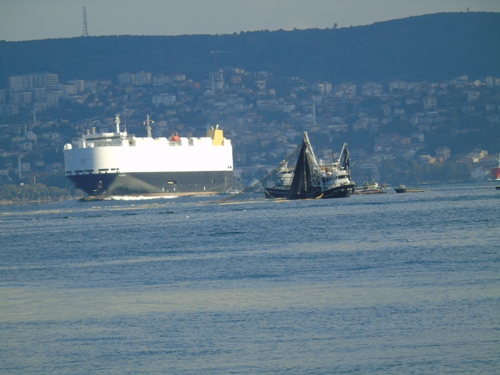 DSC01423 (700x525, 329Kb)