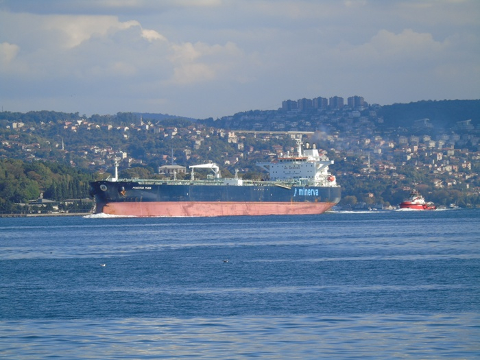 DSC01452 (700x525, 343Kb)