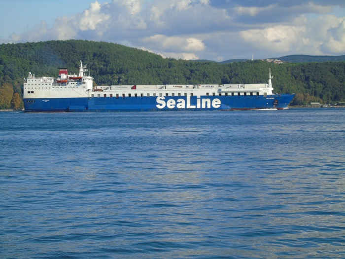 DSC01491 (700x525, 374Kb)