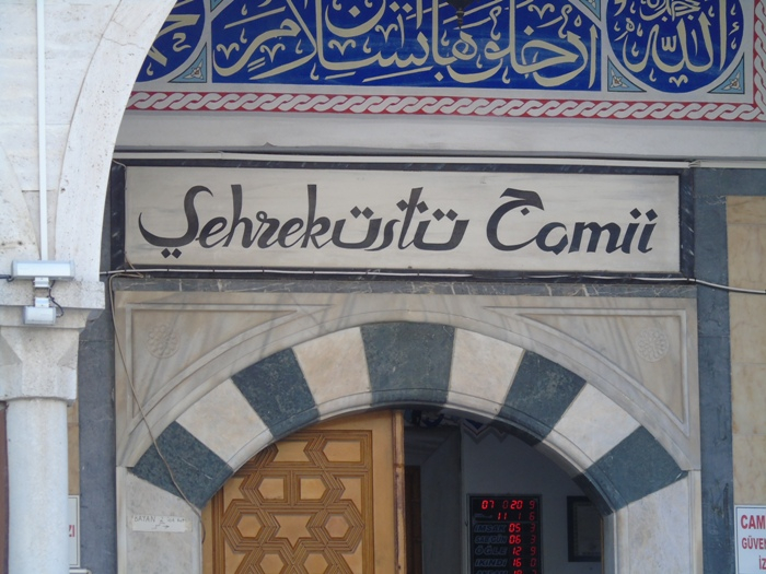 DSC01591 (700x525, 352Kb)