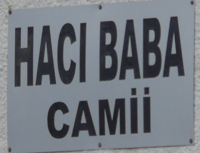 DSC01887 (700x535, 281Kb)