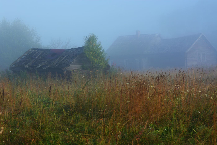 13387105 (700x466, 285Kb)