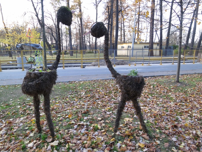 IMG_2635 (700x525, 554Kb)